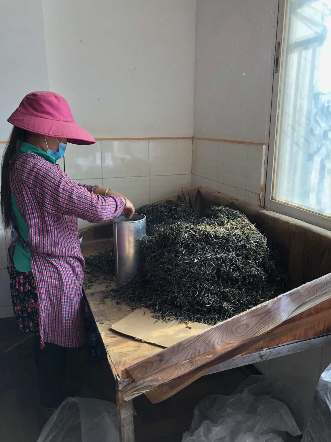 Yiwu Pu'er Tea Factory worker filling cylinders with mao cha to be steamed and shaped