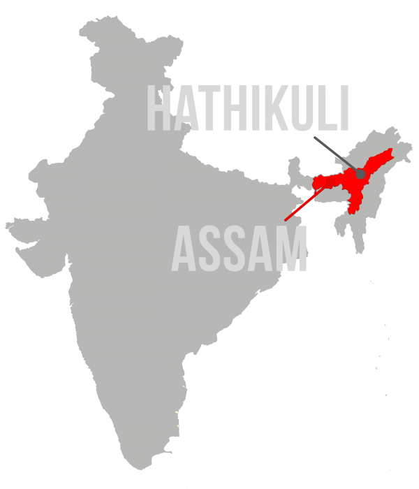 Map showing Hathikuli organic tea estate within Assam, India